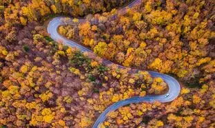 3 خودرو مطمئن برای زدن به دل جاده های پاییزی