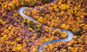 3 خودرو مطمئن برای زدن به دل جاده های پاییزی