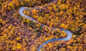 3 خودرو مطمئن برای زدن به دل جاده های پاییزی