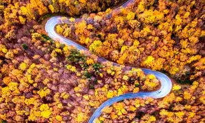 3 خودرو مطمئن برای زدن به دل جاده های پاییزی
