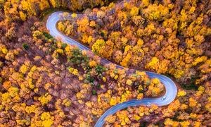 3 خودرو مطمئن برای زدن به دل جاده های پاییزی