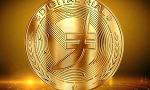 برگزاری کارگاه آموزشی ریال دیجیتال توسط ایران کیش