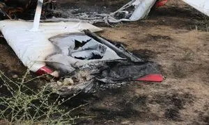 فوری/ سقوط مرگبار هواپیما در استان فارس