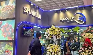 افزایش 500 هزار تومانی قیمت قهوه
