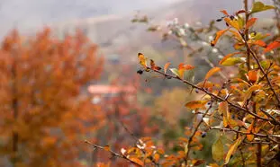 5 روستای پاییزی اطراف تهران برای سفر یک روزه