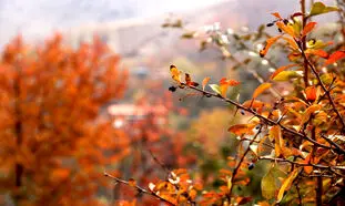 5 روستای پاییزی اطراف تهران برای سفر یک روزه
