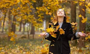۲۰ تور‌ یک روزه طبیعت گردی شب یلدا ۱۴۰۳