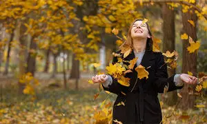 ۲۰ تور‌ یک روزه طبیعت گردی شب یلدا ۱۴۰۳