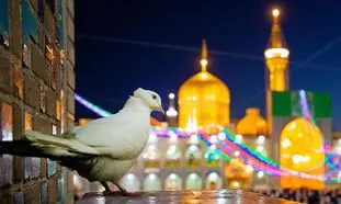 تور لحظه آخری مشهد؛ تجربه‌ ای سریع، اقتصادی و فراموش‌ نشدنی