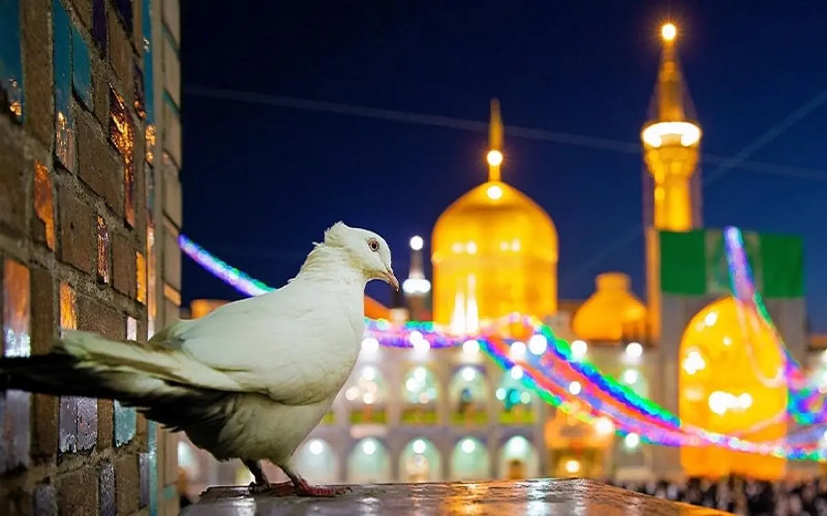تور لحظه آخری مشهد؛ تجربه ای سریع، اقتصادی و فراموش نشدنی