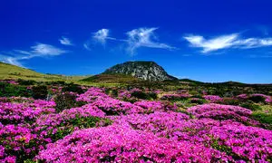 معرفی جاذبه ‌های گردشگری جزیره ججو