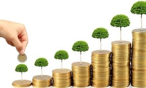 برگزاری نشست مالی در گلرنگ به مناسبت روز حسابدار