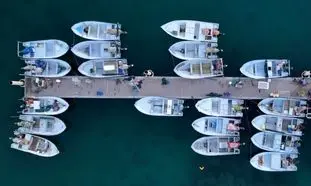 جاباما ویدیویی از شگفتی های ابوموسی منتشر کرد