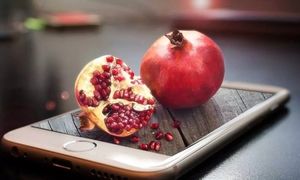 آسیاتک پکیج های یلدایی عرضه می کند