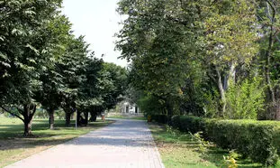 کشف استخوان های انسان در یکی از پارک های تهران