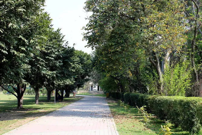 کشف استخوان های انسان در یکی از پارک های تهران
