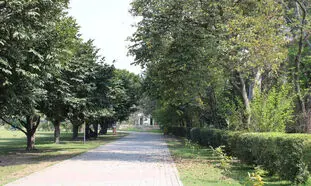 کشف استخوان های انسان در یکی از پارک های تهران