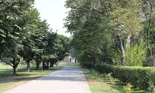 کشف استخوان های انسان در یکی از پارک های تهران