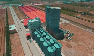 نصب دو مخزن عظیم در کارخانه کیلوس گلرنگ