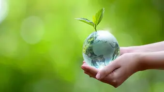 گزارش عملکرد موسسه خیریه نیکان ماموت در آبان 1403