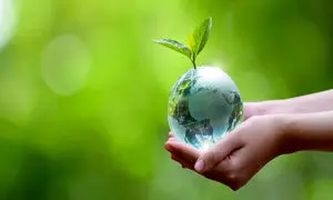 گزارش عملکرد موسسه خیریه نیکان ماموت در آبان 1403