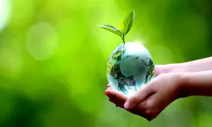 گزارش عملکرد موسسه خیریه نیکان ماموت در آبان 1403