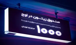 زیتون؛ اولین صندوق مختلط ۱ همتی بورس