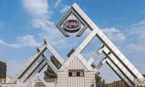 دومینو 14 ساله شد
