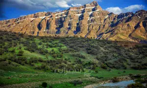 همراهی درسا با ایفا در پروژه زاگرس