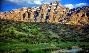 همراهی درسا با ایفا در پروژه زاگرس