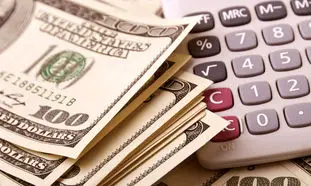 دلار ارزان می شود ؛ پیش بینی یک فعال اقتصادی