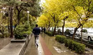 چند راز مهم برای علاقمندان به اجاره خانه در امیرآباد