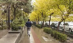 چند راز مهم برای علاقمندان به اجاره خانه در امیرآباد
