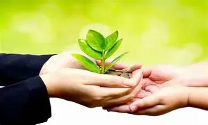 پرداخت خودکار کمک‌ های نقدی به محک با پیمان