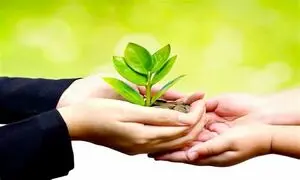 پرداخت خودکار کمک‌ های نقدی به محک با پیمان