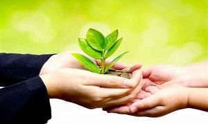 پرداخت خودکار کمک‌ های نقدی به محک با پیمان