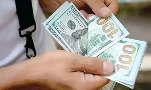 ادعای جنجالی درباره 20 هزار تومانی شدن دلار