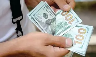 ادعای جنجالی درباره 20 هزار تومانی شدن دلار
