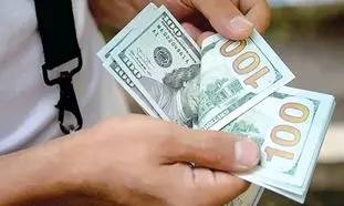 ادعای جنجالی درباره 20 هزار تومانی شدن دلار