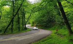 برای سفر به شمال تپسی بگیریم یا خودرو اجاره کنیم؟