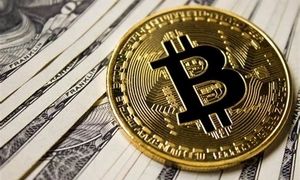 پیش بینی سقوط 50 درصدی قیمت بیت کوین و مرگ آلت کوین ها