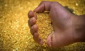 5 سوت طلا؛ هدیه خرید اول از تکنوگلد
