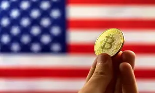 ذخیره بیت کوین توسط دولت آمریکا فاجعه بار است