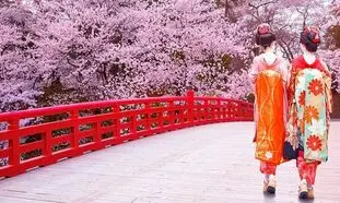 رزرو تور نوروزی ژاپن برای دیدن شکوفه های گیلاس از آمیتیس تراول