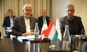 توسعه گردشگری سلامت ایران / ارائه خدمات مقرون به صرفه به بیماران خارجی