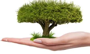 کاشت هزاران نهال در فروشگاه‌های زنجیره‌ای افق کوروش به پاسداشت روز درختکاری