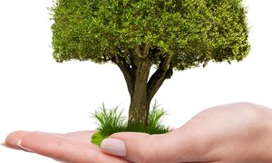 کاشت هزاران نهال در فروشگاه‌های زنجیره‌ای افق کوروش به پاسداشت روز درختکاری