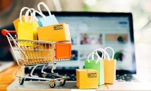 چگونه یک فروشگاه ساز اینترنتی برای کسب و کار خود انتخاب کنیم؟