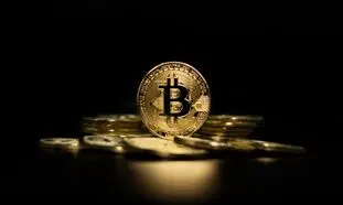 حساسیت بیت کوین بالا رفت