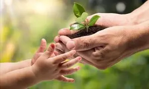 حمایت مالی دیوار از ایده‌ های محیط زیستی